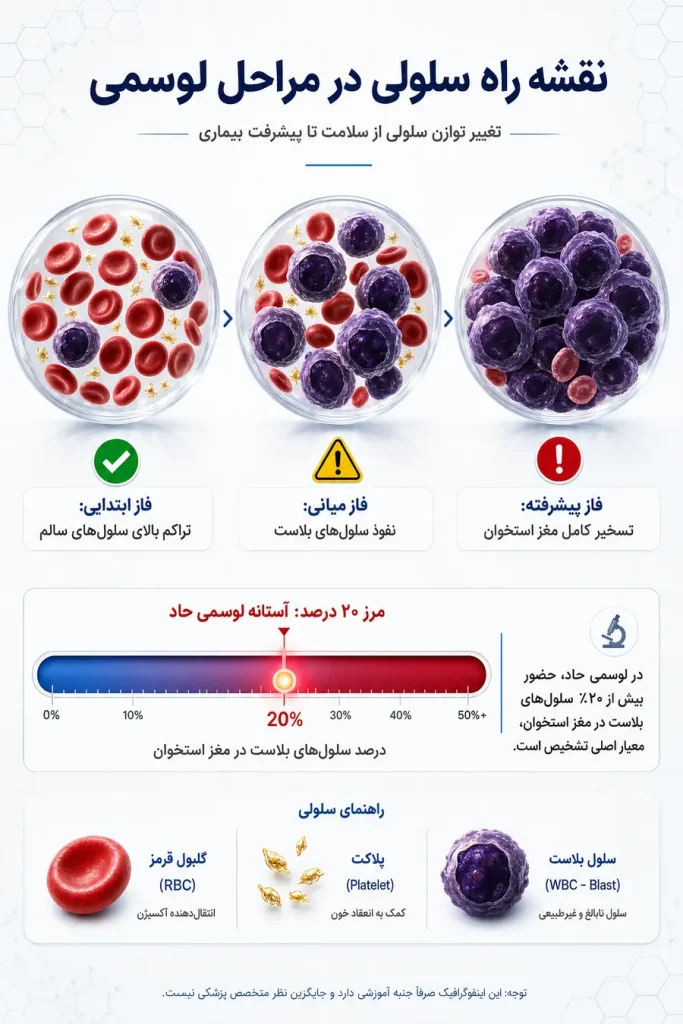 اینفوگرافیک تفییرات سلولی در انواع مراحل سرطان خون