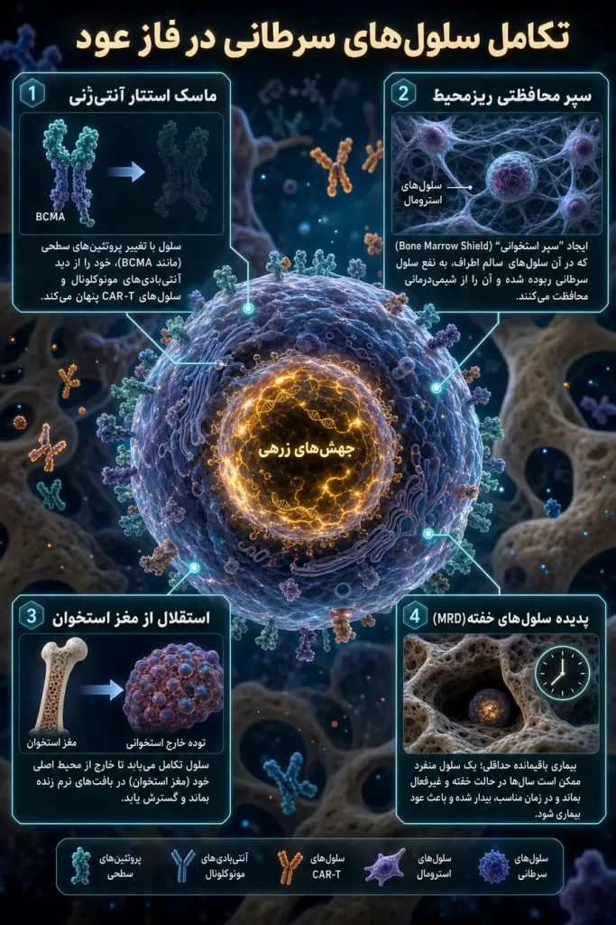 چگونگی تکامل سلول های سرطانی در فاز عود مولتیپل میلوما